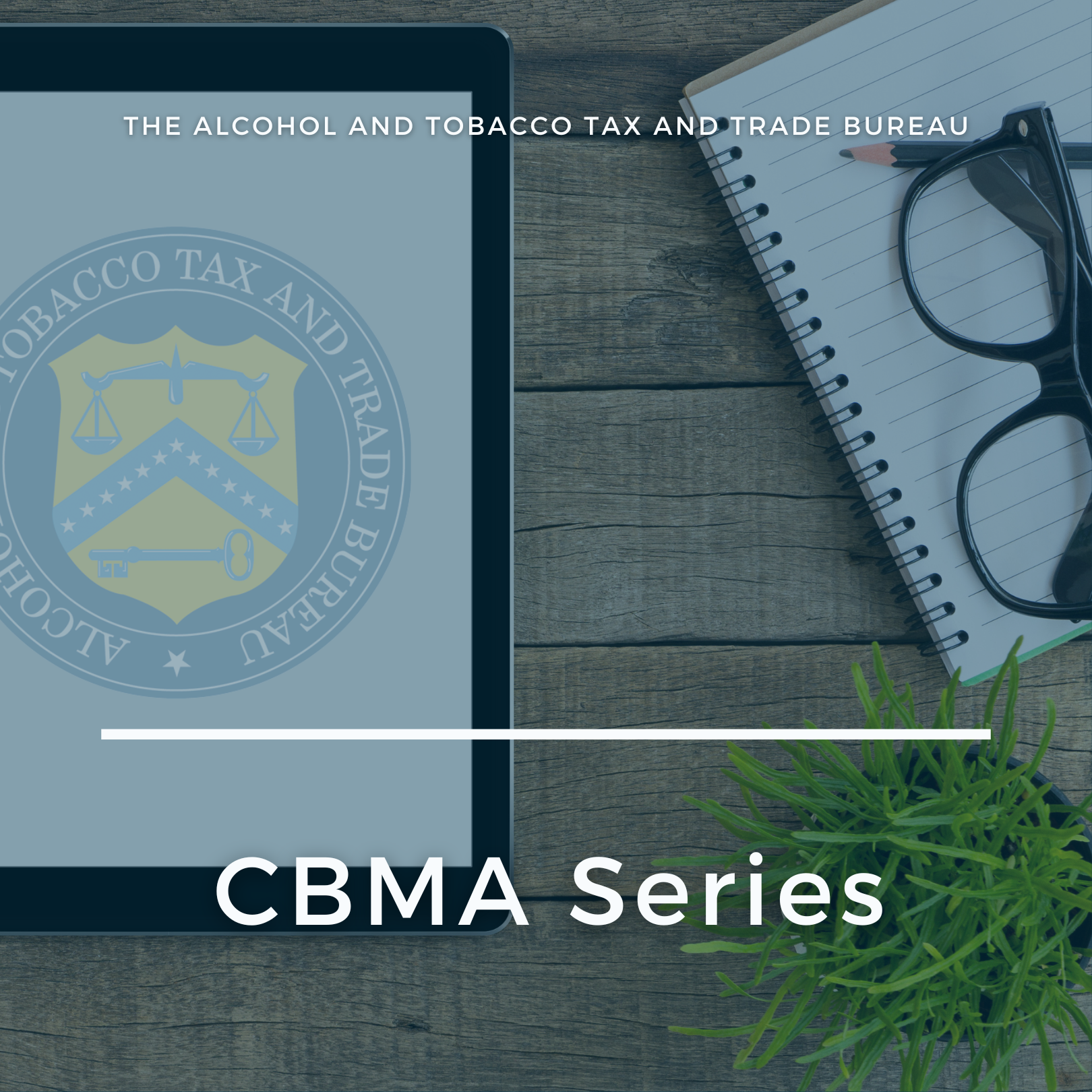 CBMA Preparing for Importer Claims